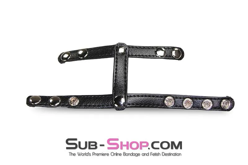 1554M      T-Style Cock Ring with Ball Divider Strap