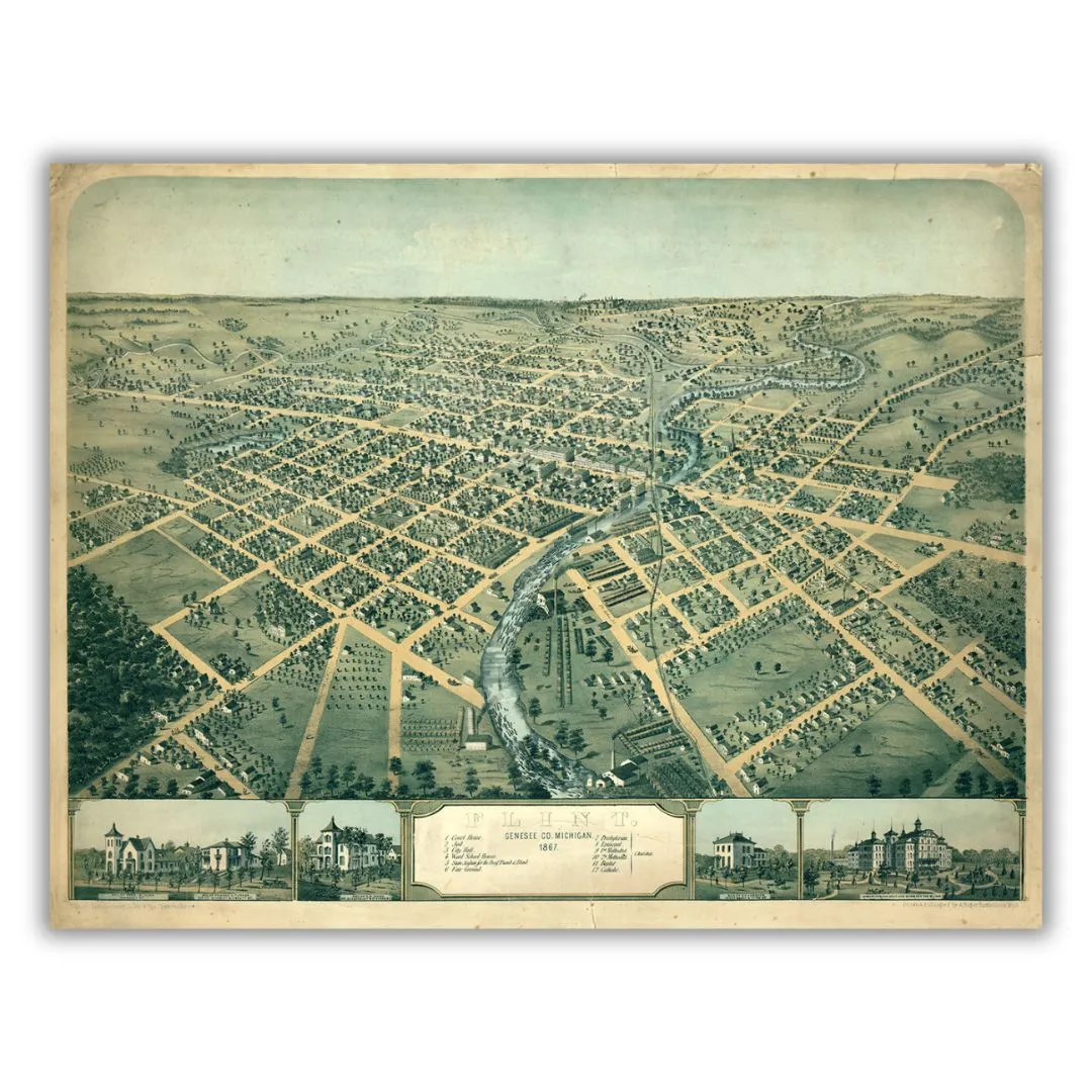 Bird's Eye View of Flint, 1867 Print