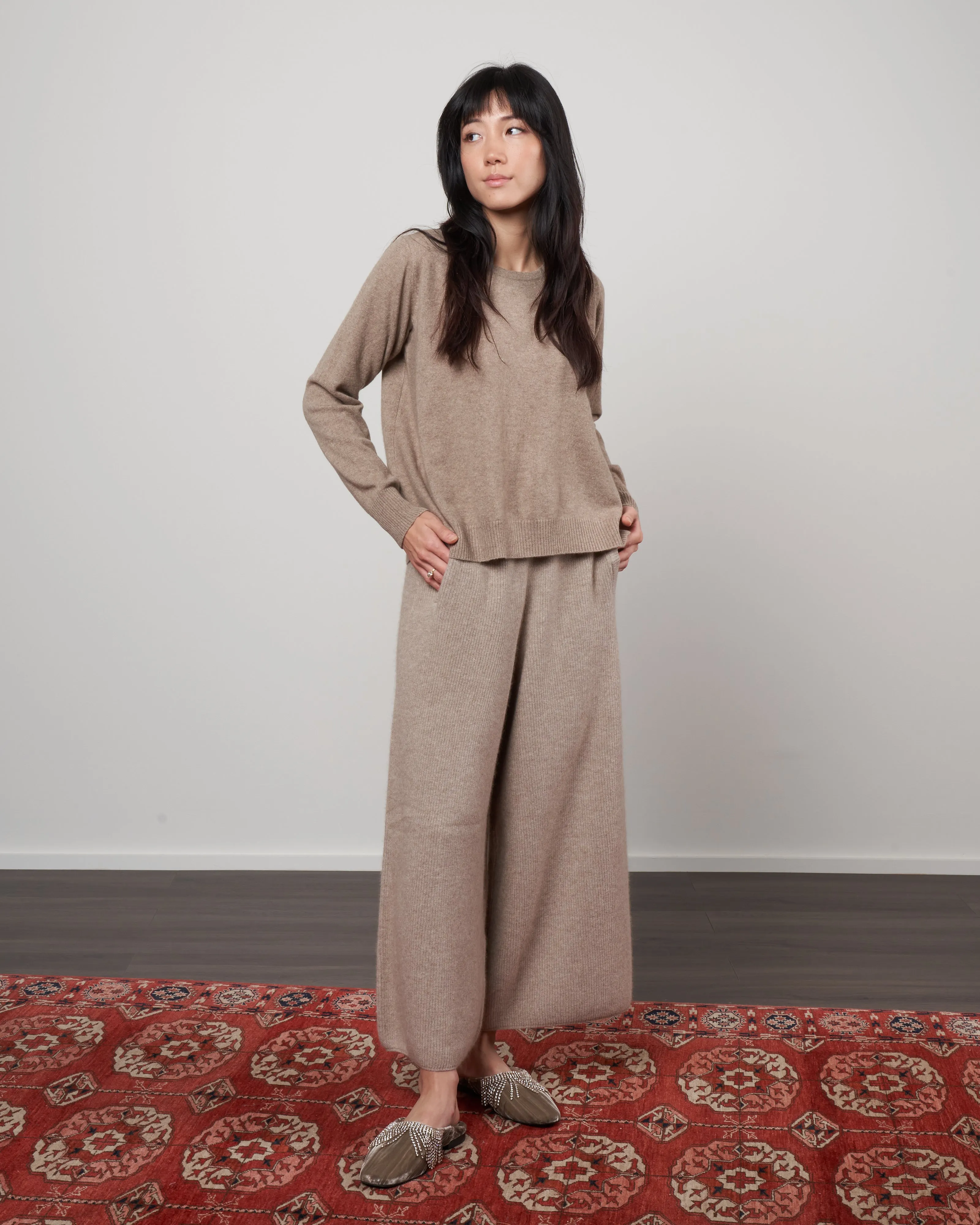 cashmere simple crew neck sweater - beige