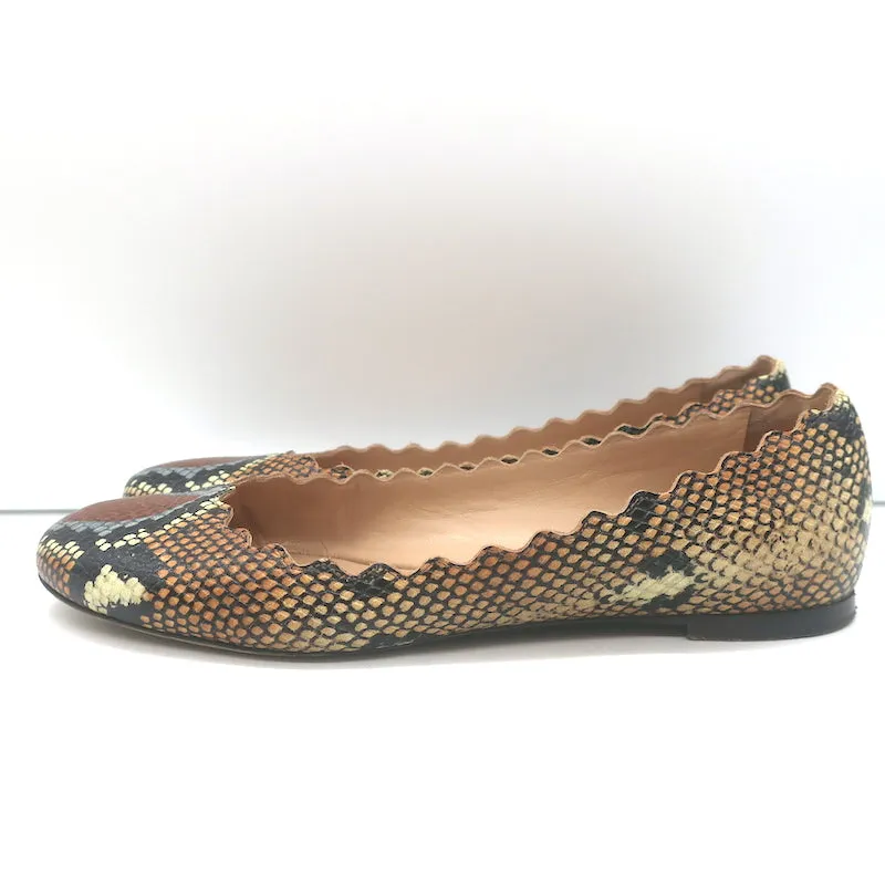 Chloe Lauren Snake-Effect Scalloped Ballet Flats Brown Leather Size 38.5