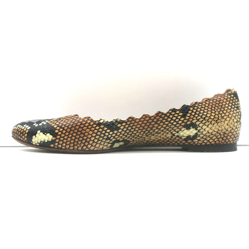 Chloe Lauren Snake-Effect Scalloped Ballet Flats Brown Leather Size 38.5