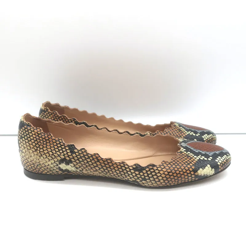 Chloe Lauren Snake-Effect Scalloped Ballet Flats Brown Leather Size 38.5