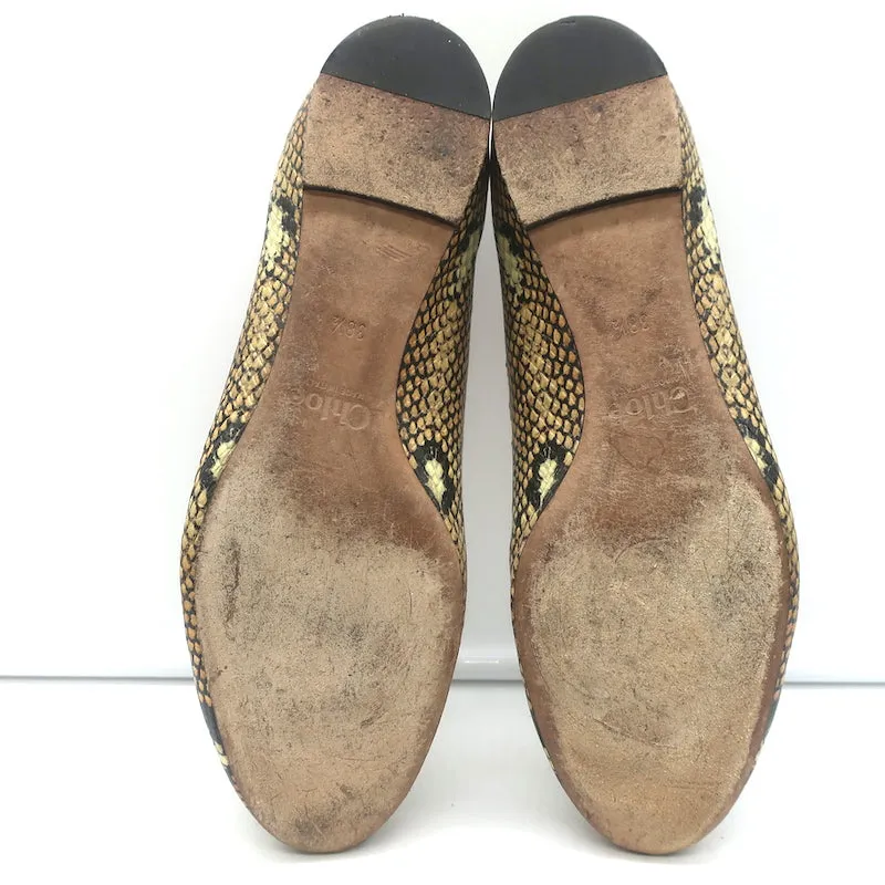 Chloe Lauren Snake-Effect Scalloped Ballet Flats Brown Leather Size 38.5