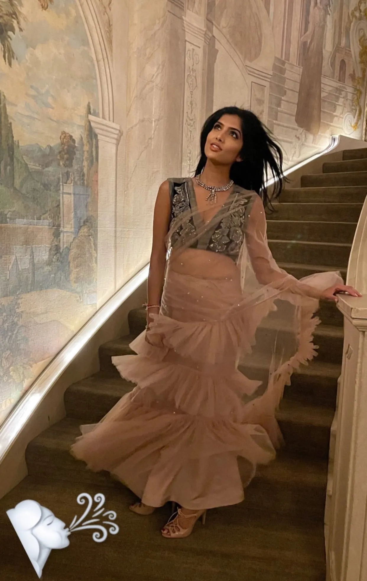 Crystal Ruffle Sari
