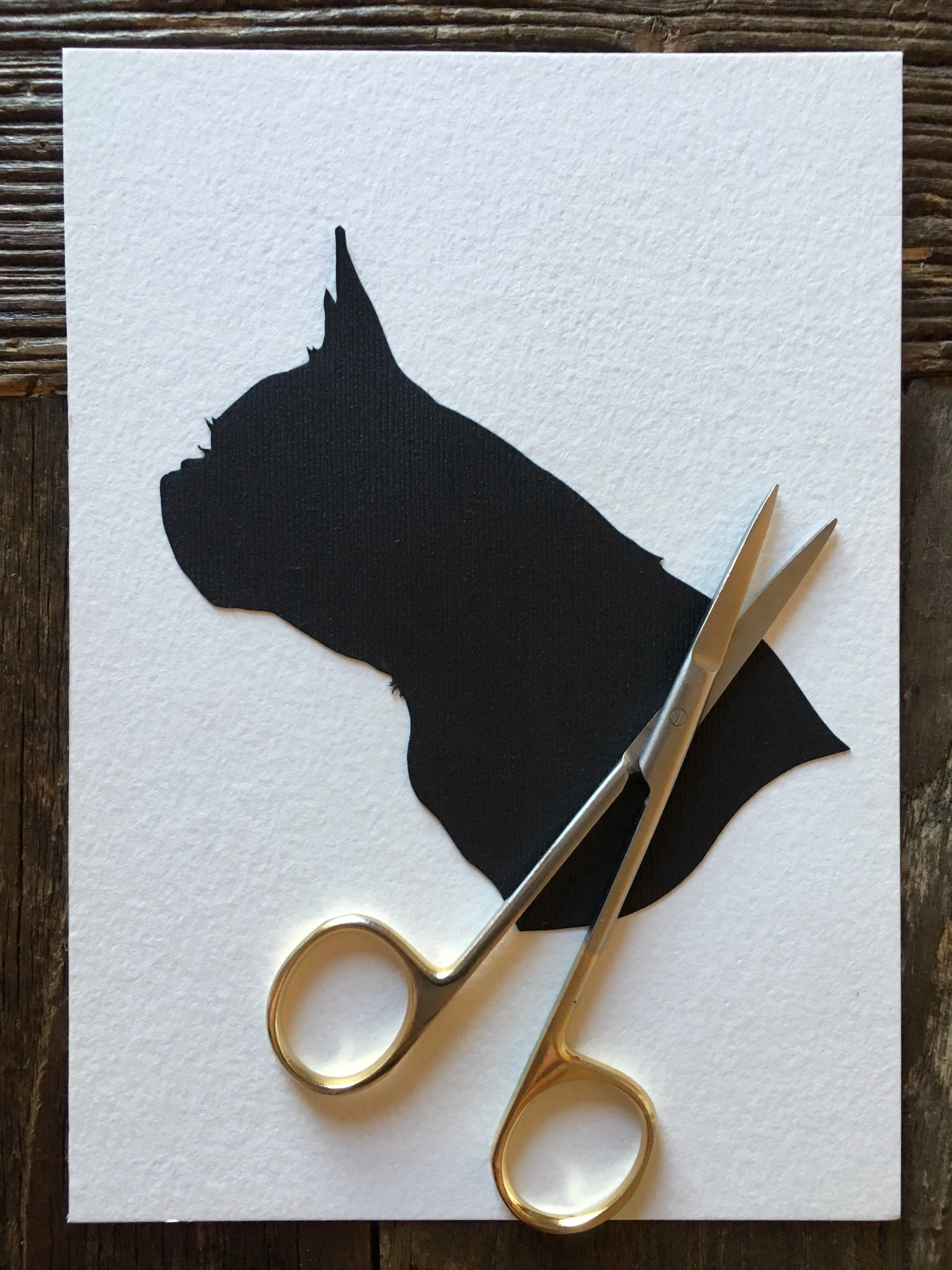 Custom Hand Cut Silhouette - Child Silhouette Portrait Art