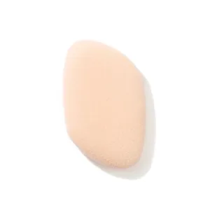 Flocked Sponge