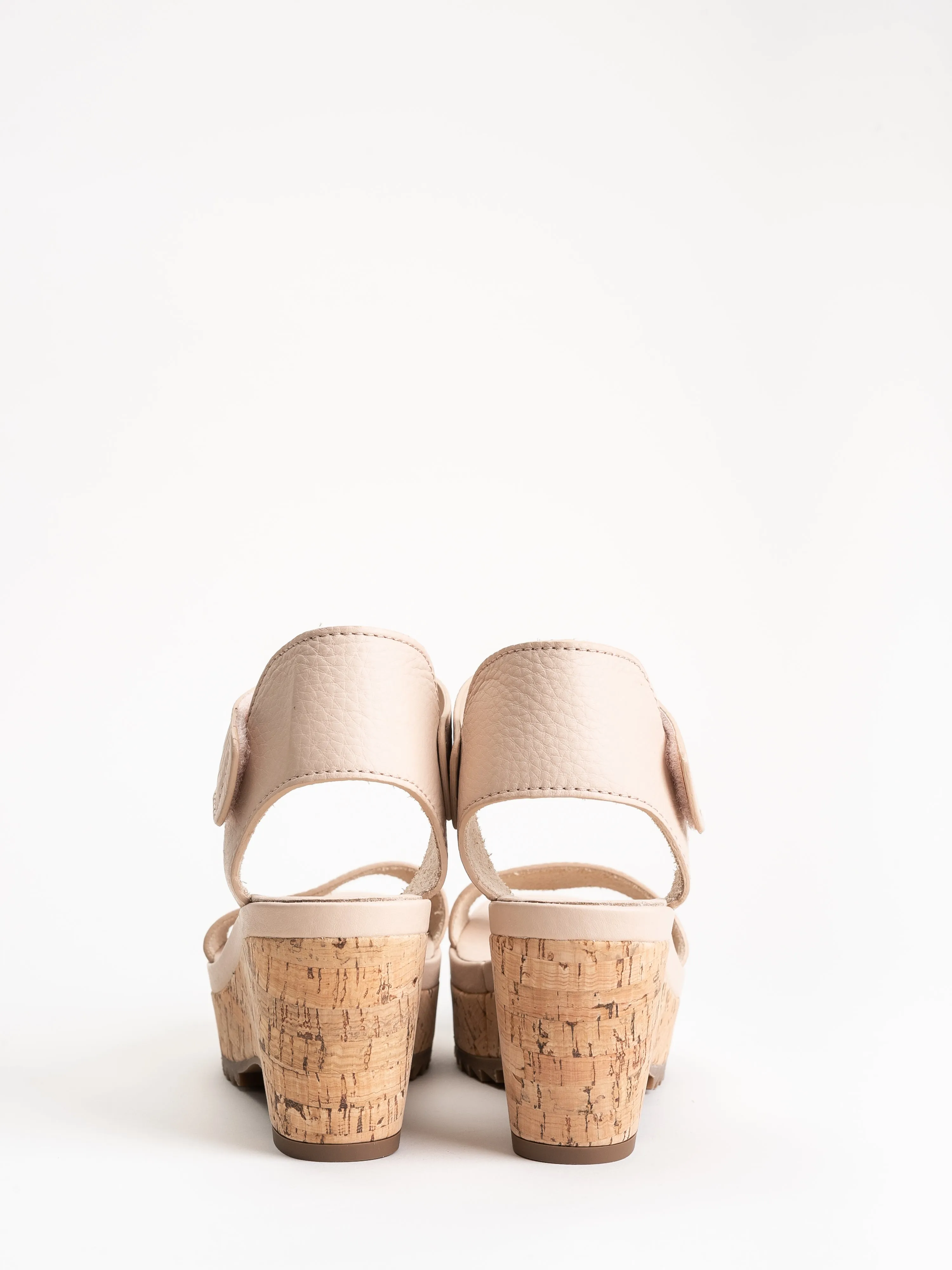 franses wedge - plume
