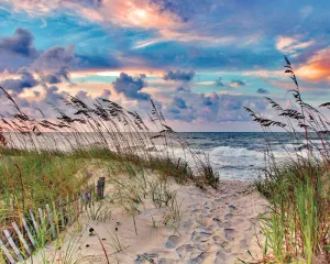 High Tide 1000 Pc Puzzle