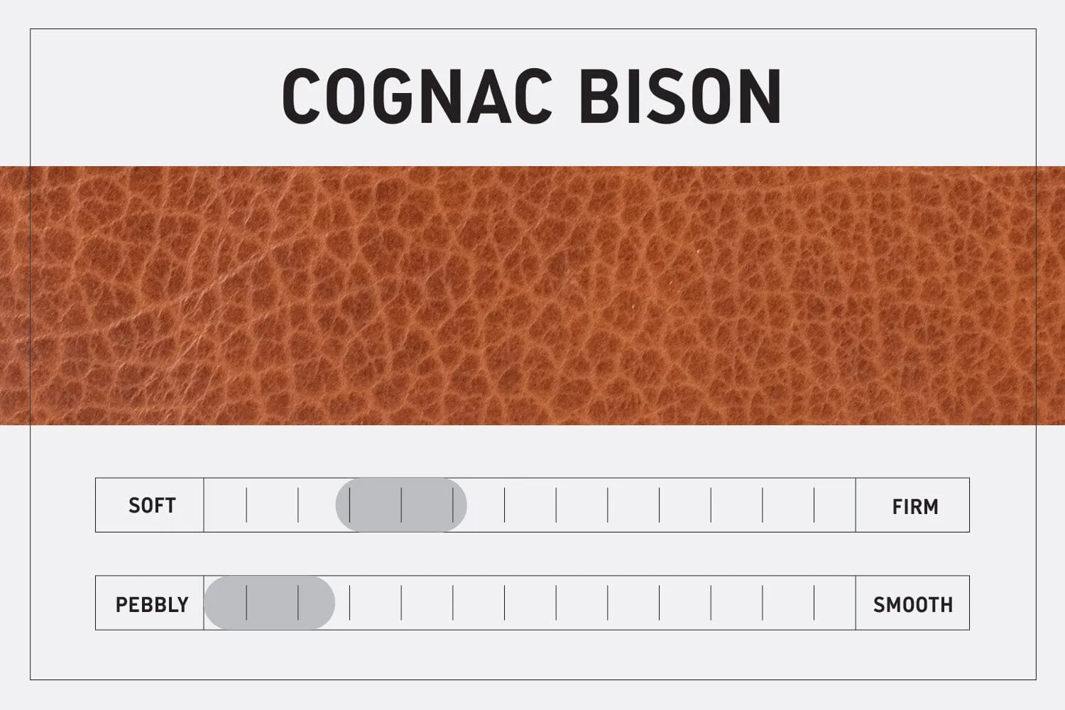 JANE LEATHER CROSSBODY - COGNAC BISON