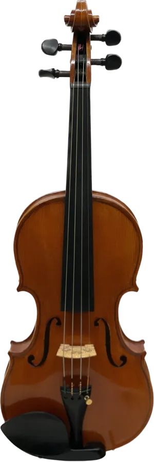 Jozsef Simon Master Violin 2022