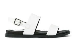 LOS CABOS ROENA WHITE