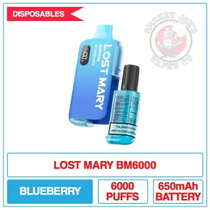 Lost Mary - BM6000 - Blueberry - Disposable Vape Kit