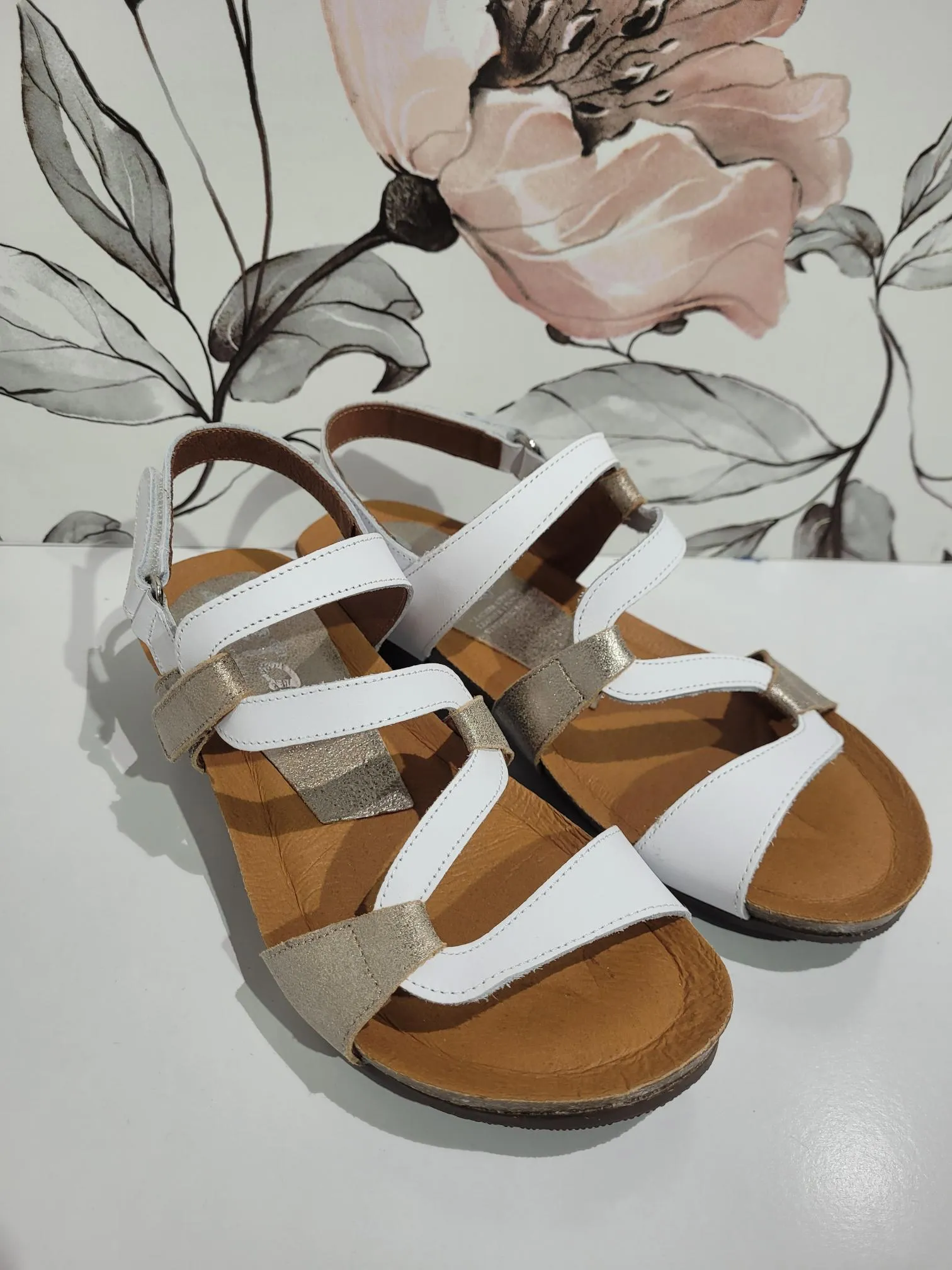 Osina Anon/Blanco by Zeta