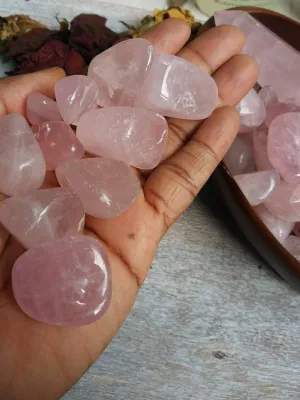 Rose Quartz - Grade A Tumbled Freeform Crystals