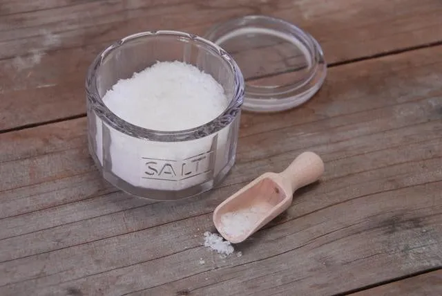 Salt Pot with Wooden Scoop