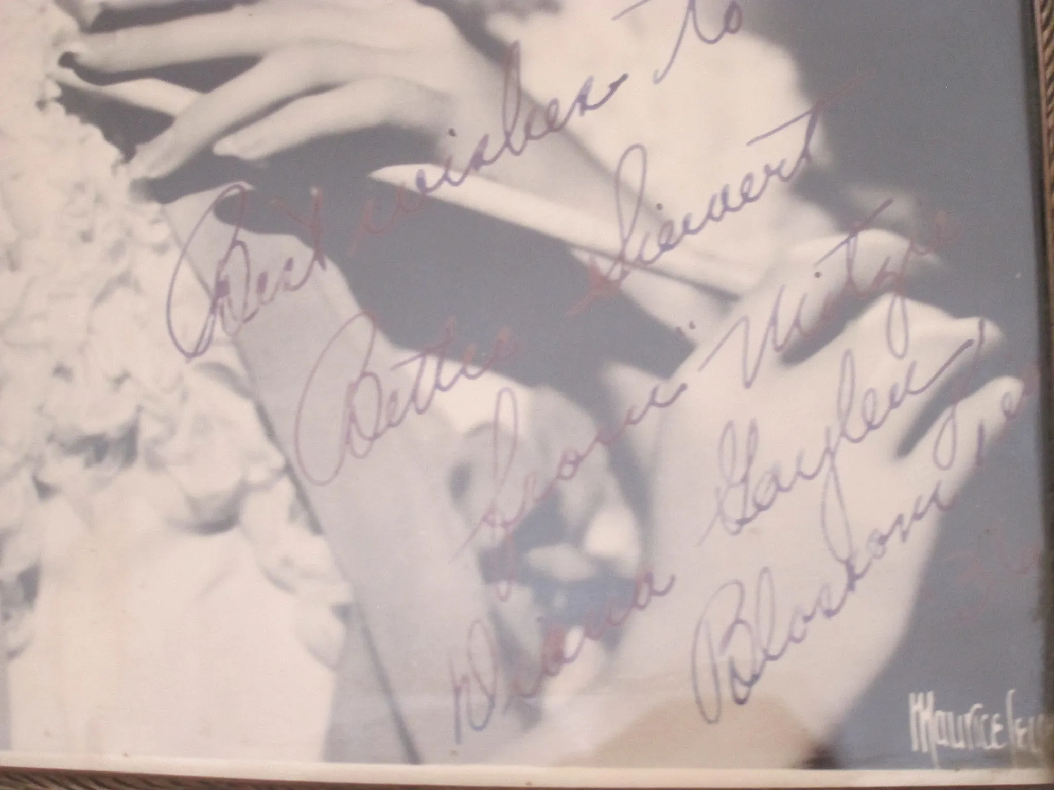 Vintage Framed Autograph Photo of Diana Galen
