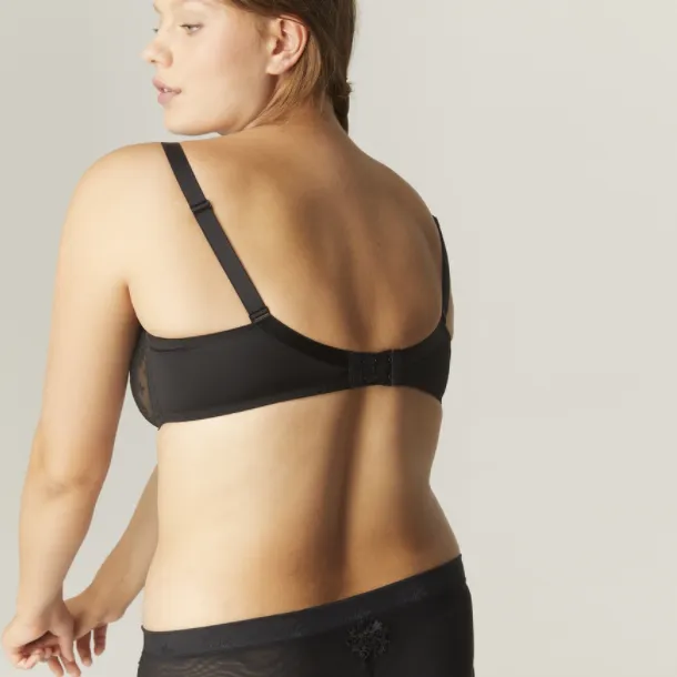 Wish Sheer Plunge Bra