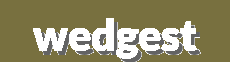Elegant and luxurious shoes–wedges and flats